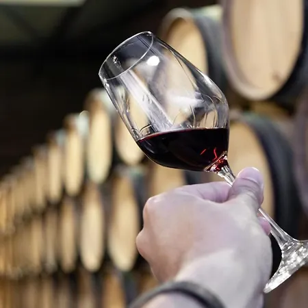 Urban @ Bonfim Appartement